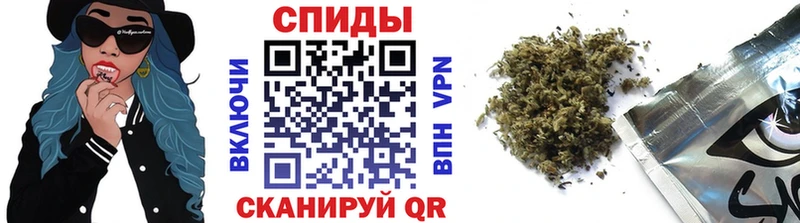 Купить закладки  Камызяк  Бутират 1.4BDO 