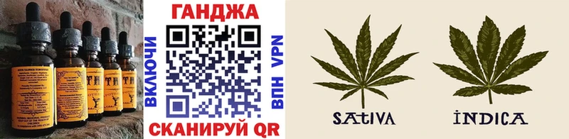 Купить закладки  Камызяк  Cannafood марихуана 