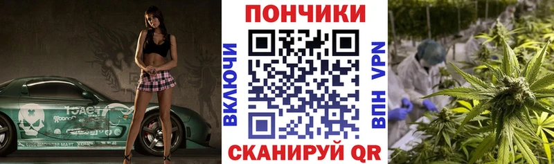 Бошки Шишки Amnesia  Купить  Камызяк 